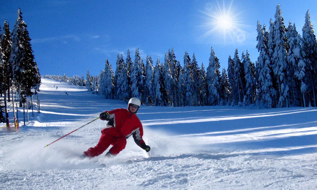Ski - Apartment Рокицани Экстерьер фото