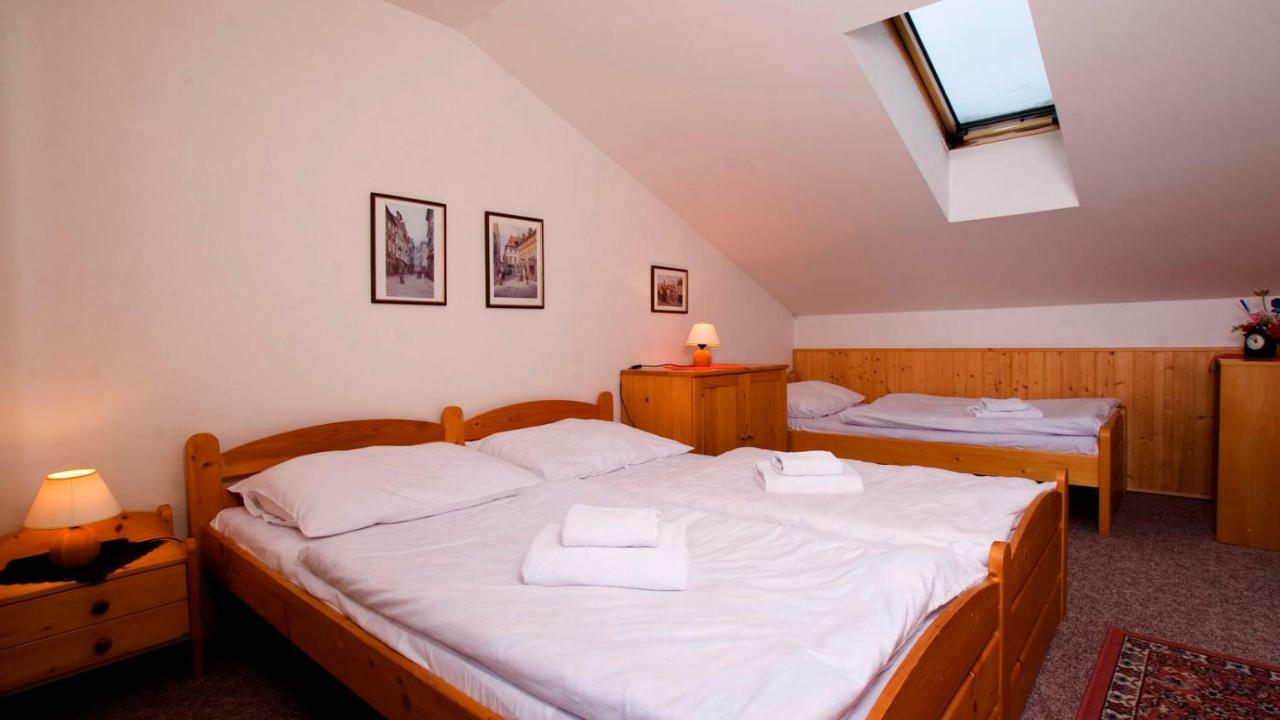 Ski - Apartment Рокицани Экстерьер фото
